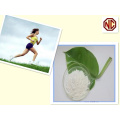 Bcaa Powder L- Leucine